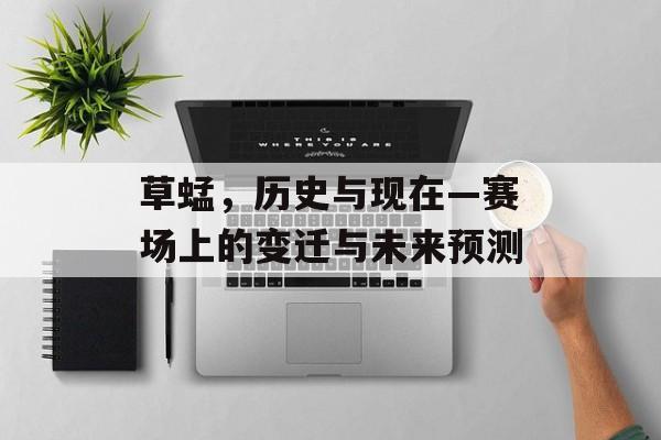 草蜢，历史与现在—赛场上的变迁与未来预测