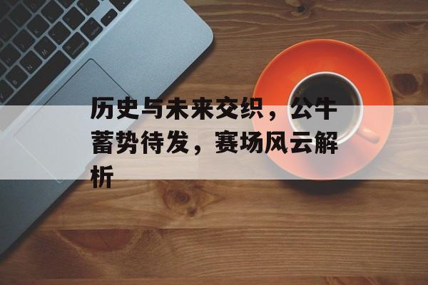 历史与未来交织，公牛蓄势待发，赛场风云解析
