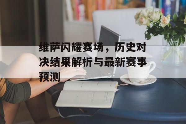 维萨闪耀赛场，历史对决结果解析与最新赛事预测
