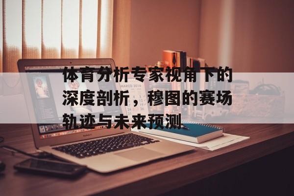 体育分析专家视角下的深度剖析，穆图的赛场轨迹与未来预测