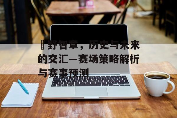 槙野智章，历史与未来的交汇—赛场策略解析与赛事预测