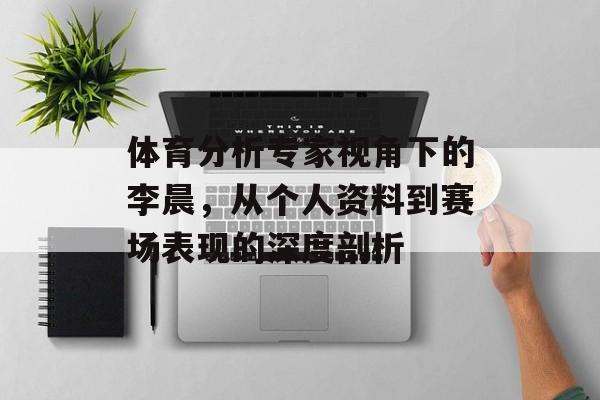 体育分析专家视角下的李晨，从个人资料到赛场表现的深度剖析
